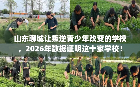 山东聊城让叛逆青少年改变的学校，2026年数据证明这十家学校！