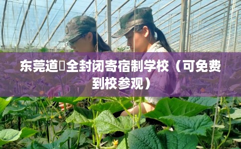 东莞道滘全封闭寄宿制学校（可免费到校参观）