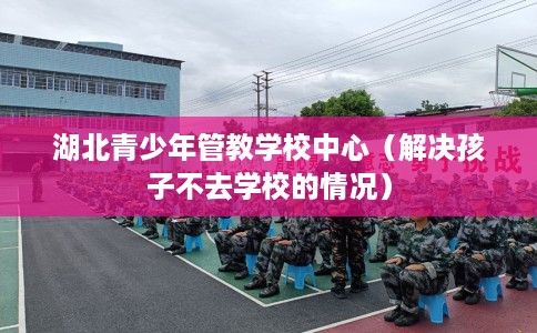 湖北青少年管教学校中心（解决孩子不去学校的情况）