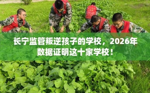 长宁监管叛逆孩子的学校，2026年数据证明这十家学校！