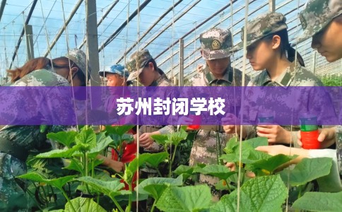 苏州封闭学校