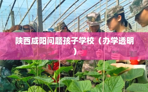 陕西咸阳问题孩子学校（办学透明）