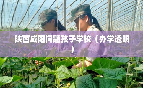 陕西咸阳问题孩子学校（办学透明）