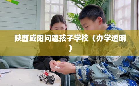陕西咸阳问题孩子学校（办学透明）
