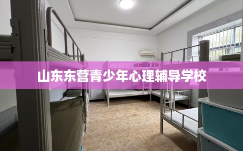 山东东营青少年心理辅导学校