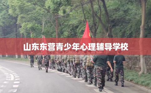山东东营青少年心理辅导学校