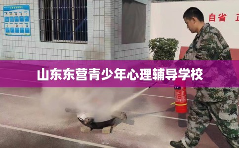 山东东营青少年心理辅导学校