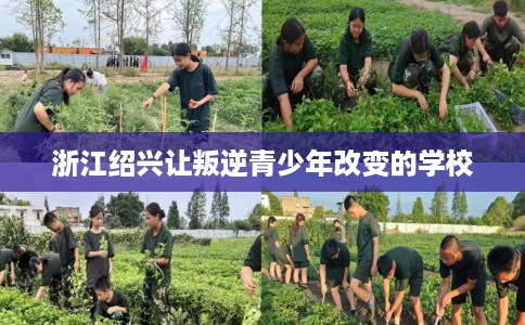 浙江绍兴让叛逆青少年改变的学校