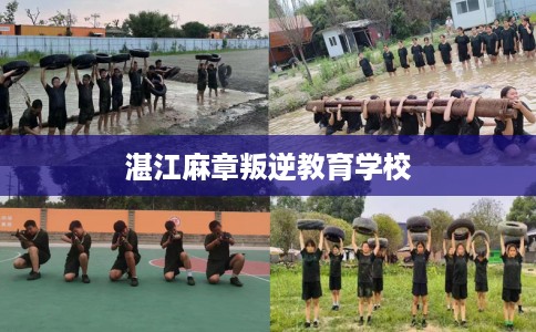 湛江麻章叛逆教育学校