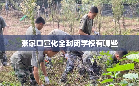 张家口宣化全封闭学校有哪些