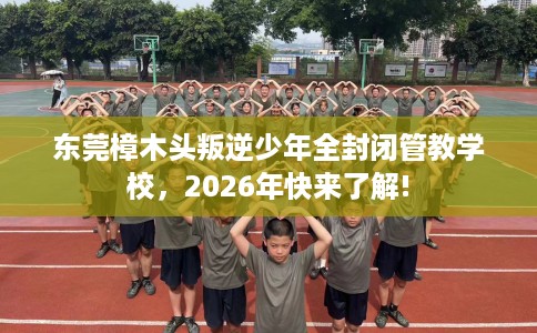 东莞樟木头叛逆少年全封闭管教学校，2026年快来了解!