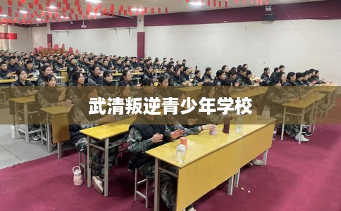 武清叛逆青少年学校