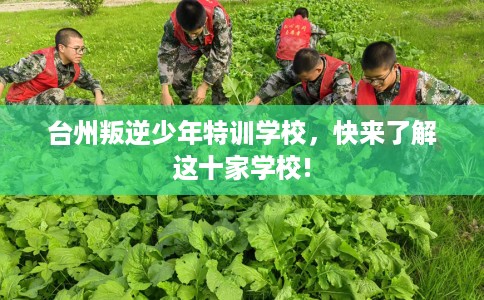 台州叛逆少年特训学校,快来了解这十家学校! 台州叛逆少年特训学校,快来了解这十家学校!