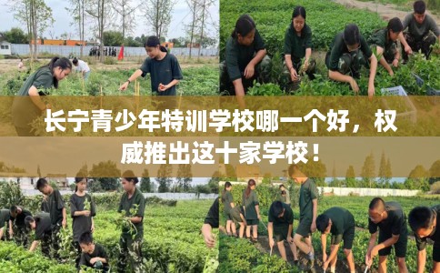 长宁青少年特训学校哪一个好，权威推出这十家学校！