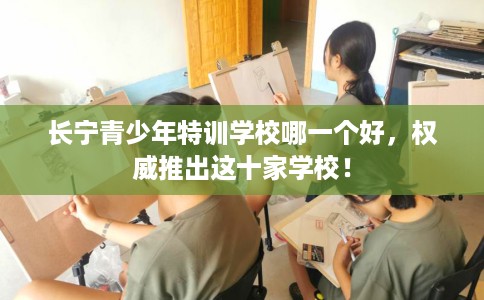长宁青少年特训学校哪一个好，权威推出这十家学校！