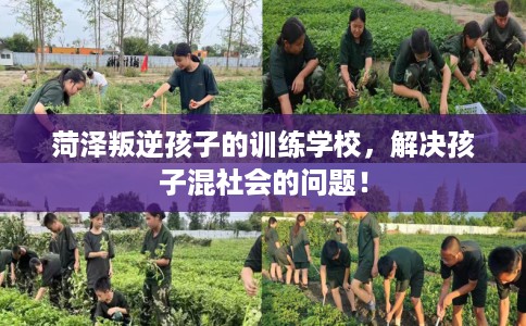 菏泽叛逆孩子的训练学校,解决孩子混社会的问题! 菏泽叛逆孩子的训练学校,解决孩子混社会的问题!