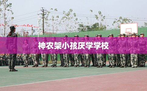神农架小孩厌学学校