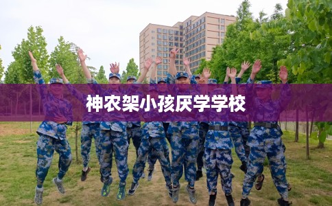 神农架小孩厌学学校