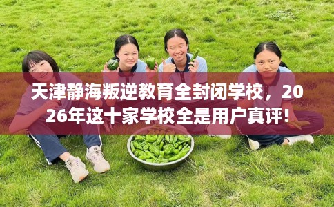 天津静海叛逆教育全封闭学校,2026年这十家学校全是用户真评! 天津静海叛逆教育全封闭学校,2026年这十家学校全是用户真评!
