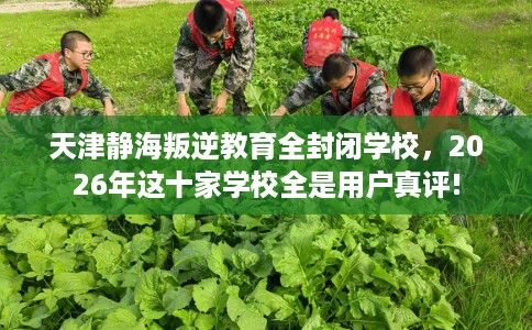 天津静海叛逆教育全封闭学校,2026年这十家学校全是用户真评! 天津静海叛逆教育全封闭学校,2026年这十家学校全是用户真评!