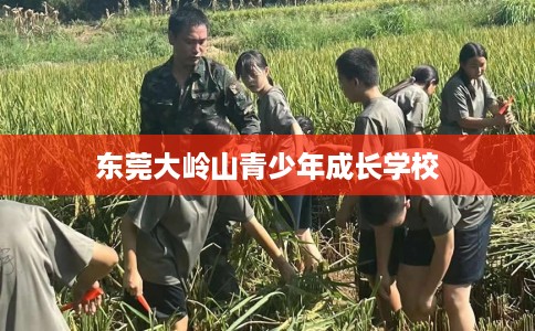 东莞大岭山青少年成长学校