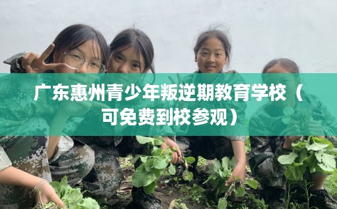 广东惠州青少年叛逆期教育学校（可免费到校参观）