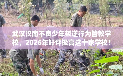 武汉汉南不良少年叛逆行为管教学校，2026年好评极高这十家学校！