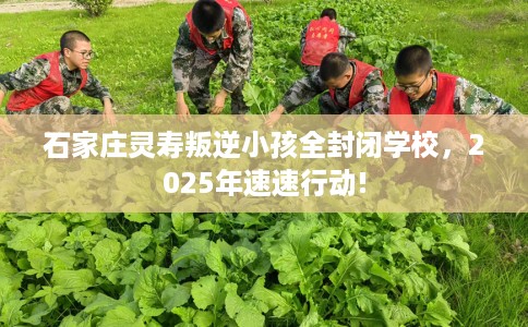 石家庄灵寿叛逆小孩全封闭学校，2025年速速行动!