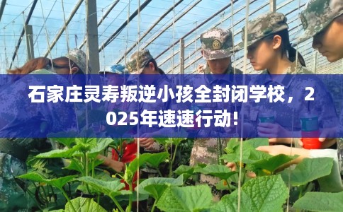 石家庄灵寿叛逆小孩全封闭学校，2025年速速行动!