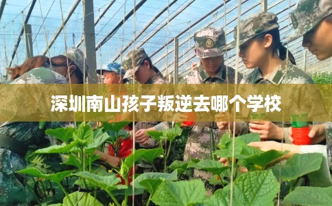 深圳南山孩子叛逆去哪个学校 深圳南山孩子叛逆去哪个学校