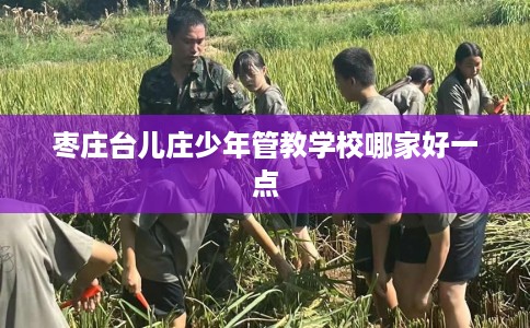 枣庄台儿庄少年管教学校哪家好一点