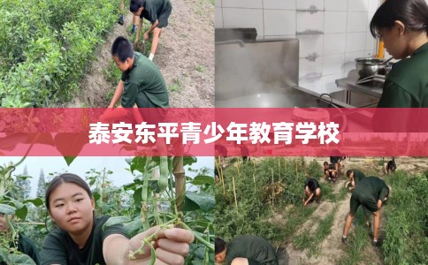 泰安东平青少年教育学校 泰安东平青少年教育学校