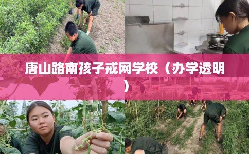 唐山路南孩子戒网学校（办学透明）