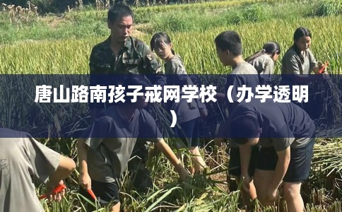 唐山路南孩子戒网学校（办学透明）