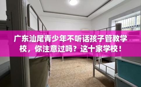 广东汕尾青少年不听话孩子管教学校，你注意过吗？这十家学校！