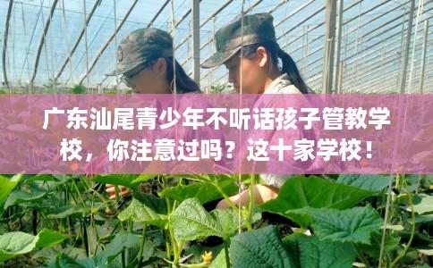 广东汕尾青少年不听话孩子管教学校，你注意过吗？这十家学校！
