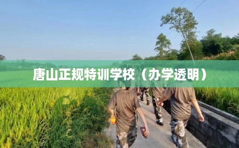 唐山正规特训学校(办学透明) 唐山正规特训学校(办学透明)