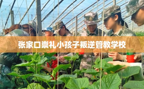 张家口崇礼小孩子叛逆管教学校