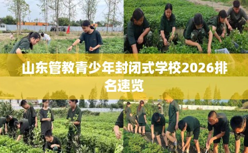 山东管教青少年封闭式学校2026排名速览 山东管教青少年封闭式学校2026排名速览
