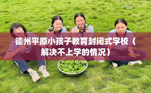 德州平原小孩子教育封闭式学校(解决不上学的情况) 德州平原小孩子教育封闭式学校(解决不上学的情况)