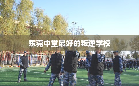 东莞中堂最好的叛逆学校