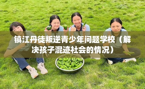 镇江丹徒叛逆青少年问题学校（解决孩子混迹社会的情况）