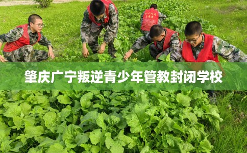 肇庆广宁叛逆青少年管教封闭学校