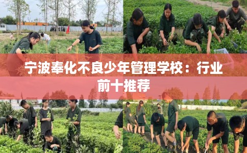 宁波奉化不良少年管理学校:行业前十推荐 宁波奉化不良少年管理学校:行业前十推荐