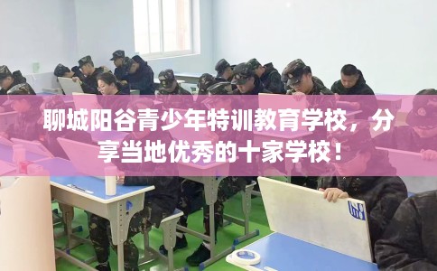 聊城阳谷青少年特训教育学校，分享当地优秀的十家学校！