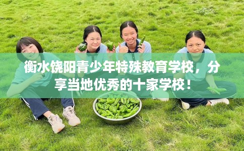 衡水饶阳青少年特殊教育学校,分享当地优秀的十家学校! 衡水饶阳青少年特殊教育学校,分享当地优秀的十家学校!