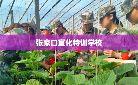 张家口宣化特训学校