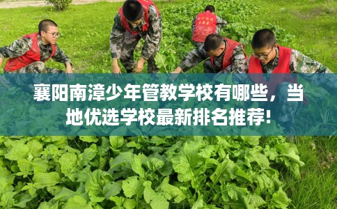 襄阳南漳少年管教学校有哪些,当地优选学校最新排名推荐! 襄阳南漳少年管教学校有哪些,当地优选学校最新排名推荐!