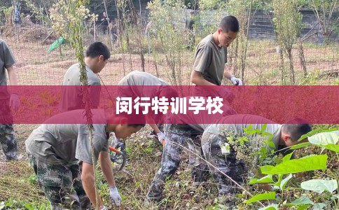 闵行特训学校 闵行特训学校