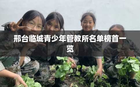 邢台临城青少年管教所名单榜首一览 邢台临城青少年管教所名单榜首一览